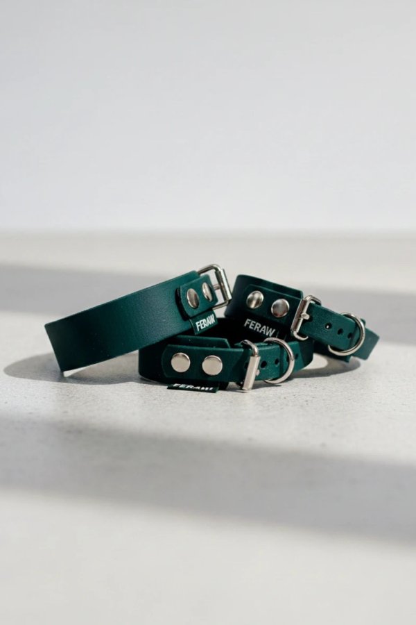 Obroża BioThane® ERGO 25mm British Racing Green Rozmiar M | Feraw 2
