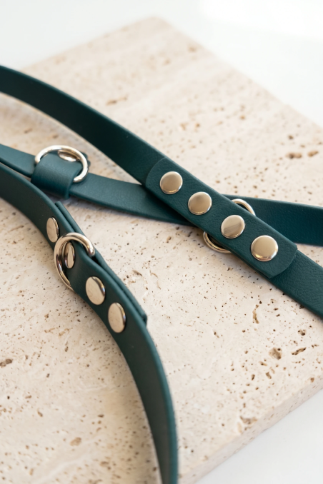 BioThane® 2.5m detachable lead, British Racing Green, 16mm | Feraw