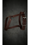 Dog Harness BioThane® ERGO 16mm Warm Caramel Size S | Feraw