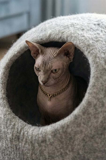Nest Sphere Stone Ash felt cat bed | Feraw