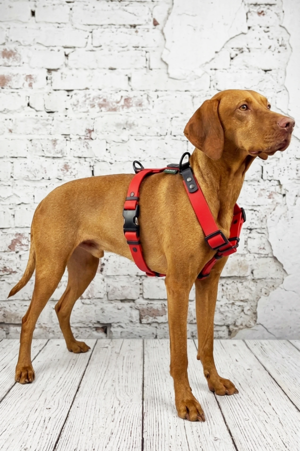 BioThane® Guard Dog Harness Deep Crimson | Feraw